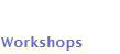 Workshop description